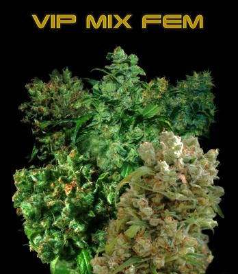 VIP Mix