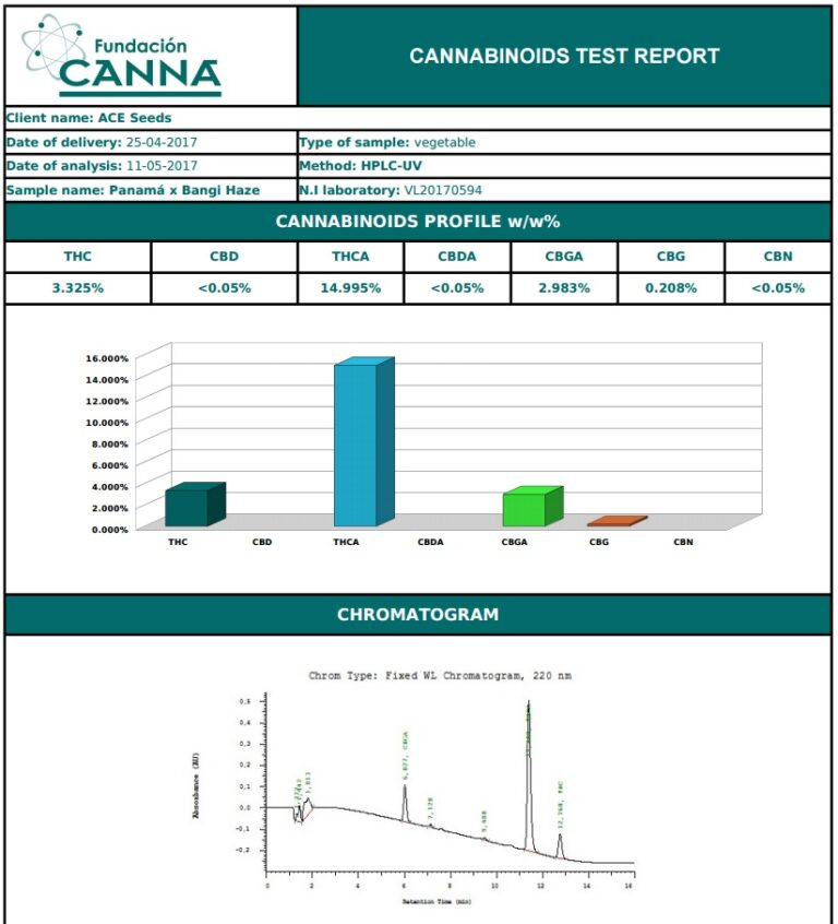 PanamaBangiHazecannabinoides-768x846