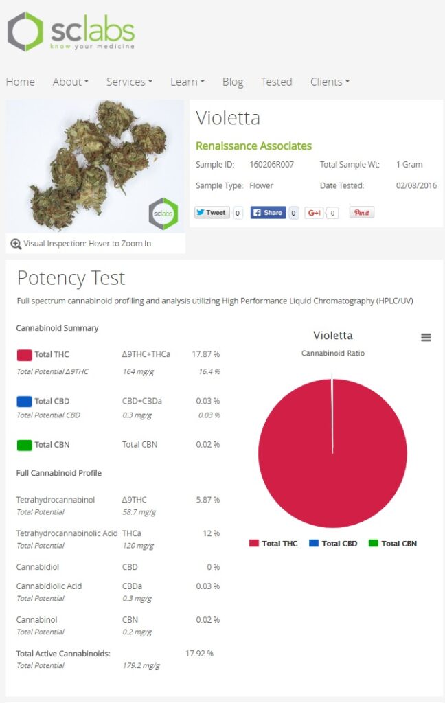 Violetacannabinoides-648x1024pG2YyklJgHys2