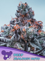 Deep Jealousy Auto 